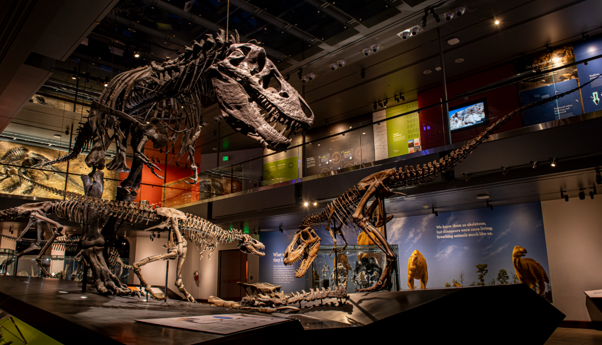 We know what Thomas's temperature was, but what about the other dinosaurs with which he shared a hall?